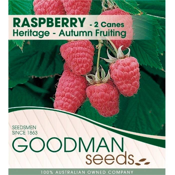 2 Canes Rasberry - Rubus Neglectus