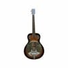 Axiom Drifter Resonator Guitar