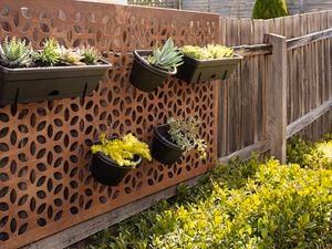 Vertical wall garden made from a garden screen and hanging pots