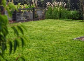 Image of tidy backyard with great looking grass