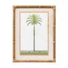 Lvd Tropical Ratten Framed Banana Palm Print Wall Hanging Decor 45x60cm Assorted