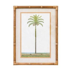 Lvd Tropical Ratten Framed Banana Palm Print Wall Hanging Decor 45x60cm Assorted