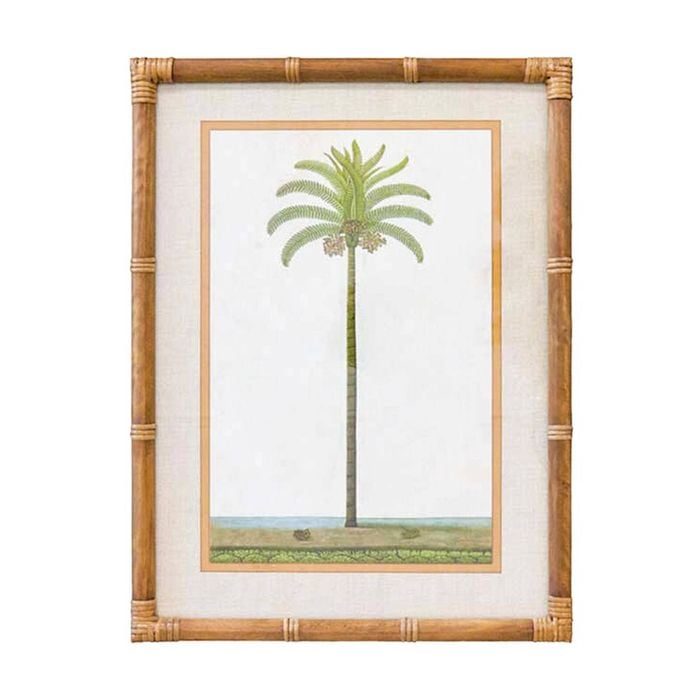 Lvd Tropical Ratten Framed Banana Palm Print Wall Hanging Decor 45x60cm Assorted