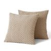 Catzon 2 Pcs Throw Pillow Covers Soft Striped Corduroy Cushion Case for Couch 60X60cm-Apricot