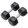 METEOR 32.5kg Pair Rubber Hex Dumbbells