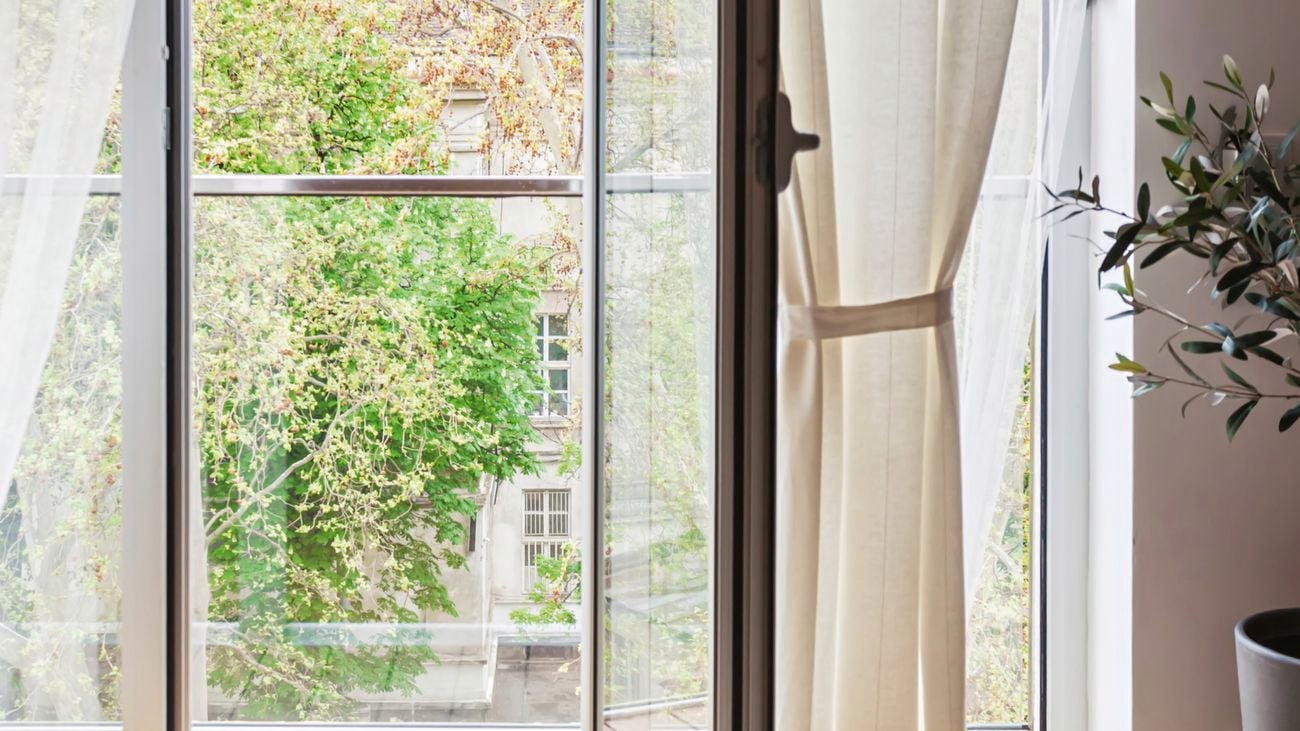 Modern apartment view through open glass terrace door looking at trees 