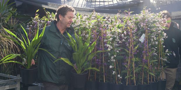 Two men standing next to a table with plants on it outside.