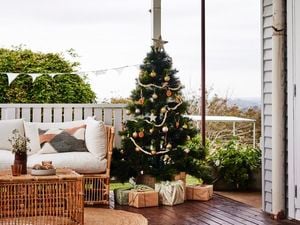 A decorated Christmas tree in a verandah.