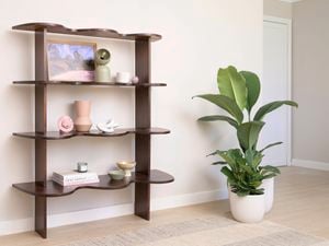 A dark wavy bookshelf holding books and decorations stands beside a tall potted plant.