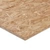 1200 x 410 x 12mm OSB Panel