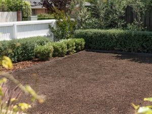 D.I.Y. - Header - How to grow grass from lawn seed