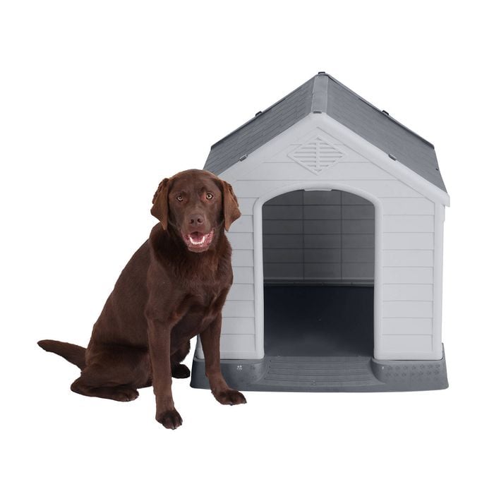 Bunnings Warehouse Bunnings Diy Dog Kennel Brand New) $50 Small