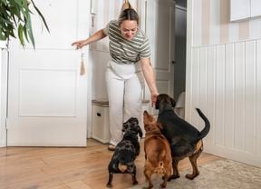 A woman in a striped green top and white trousers stands in an open doorway, reaching down to three excitable small dogs on a timber floor
