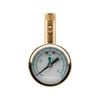 Ozito Tyre Pressure Gauge TPG-060H