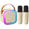 Salelink Karaoke Machine with 2 Microphones Bluetooth Speaker