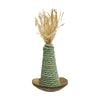 Rosewood Coconut Shell Wacky Wobblers Pet Scratch Toy Natural Assorted