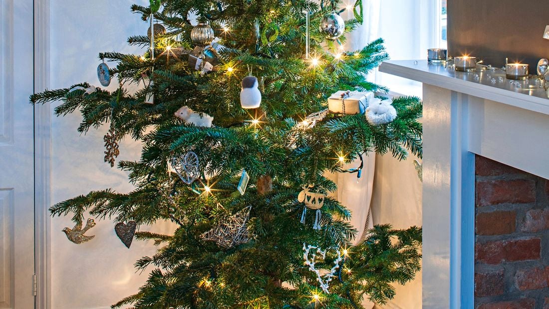 Decorated christmas tree with fairy lights and presents