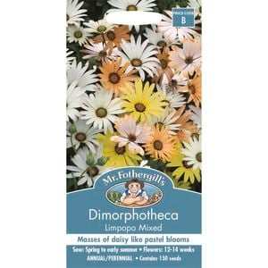 Mr Fothergill's Dimorphotheca Limpopo Mixed
