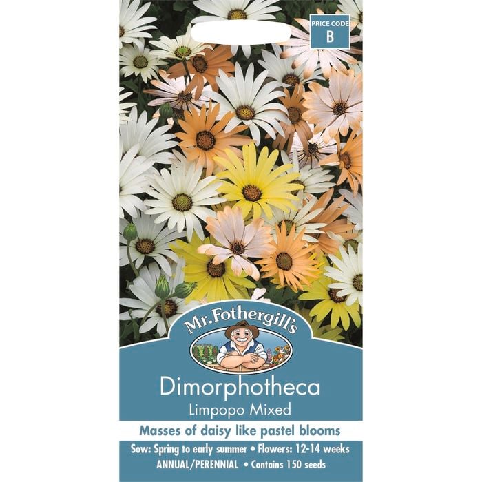 Mr Fothergill's Dimorphotheca Limpopo Mixed