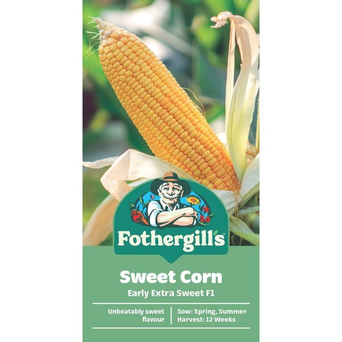 Fothergill's Early Extra Sweet Sweet Corn Vegetable Seeds