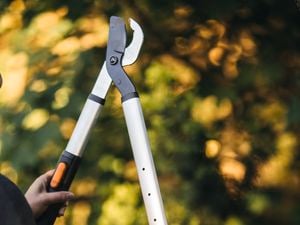 Fiskars - Legacy Sitecore Carousel Image - In Situ Image 5