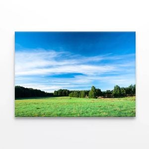 Tranquil Grassland at Sunrise  Print 100% Australian Made 150 x 100cm  (Stretched)