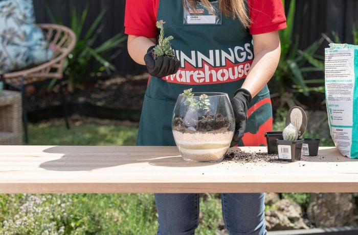 Person putting plant into see-through glass pot that already has sand and stones in it.