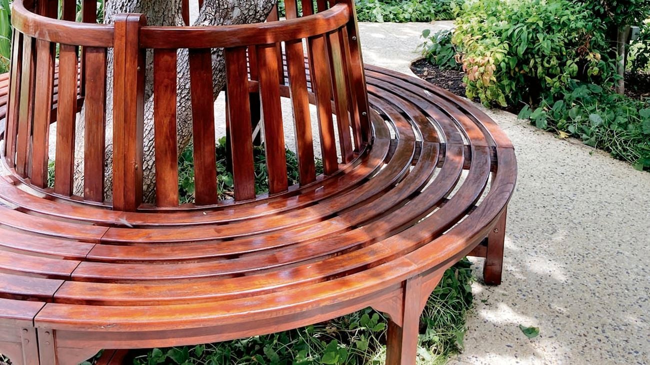 Wooden bench built in circular shape surrounding a tree.