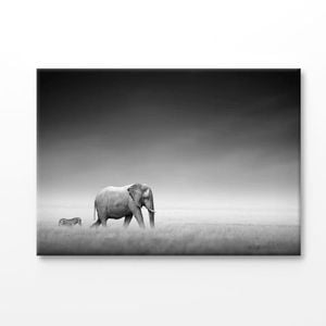 B&W Elephant & Zebra Walking Together Print 100% Australian Made 180x120cm (Stretched Canvas)