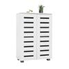 Shoe Storage Cabinet