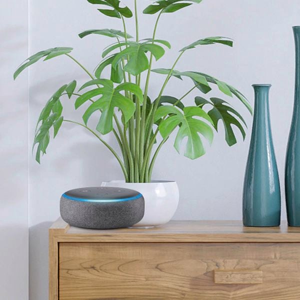 Amazon echo