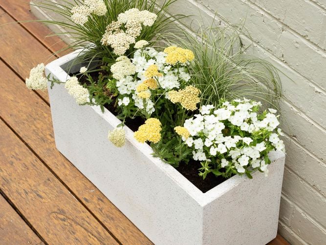 White trough planter filled with flowers on a deck.