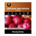 Bloomin Bulbs' 1kg Certified Seed Potato Desiree