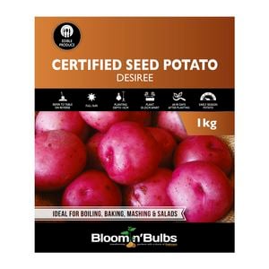 Bloomin Bulbs' 1kg Certified Seed Potato Desiree
