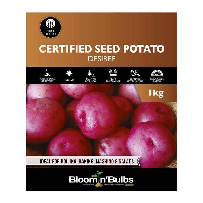 Bloomin Bulbs' 1kg Certified Seed Potato Desiree