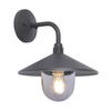 Astin Sinclair Charcoal Fingal Contemporary Coach Light