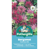 Fothergill's Bergamot Panorama Mix Seeds