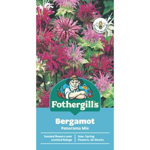Fothergill's Bergamot Panorama Mix Seeds