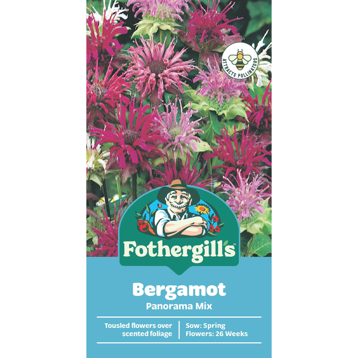 Fothergill's Bergamot Panorama Mix Seeds