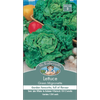 Mr Fothergill's Green Mignonette Lettuce Vegetable Seeds