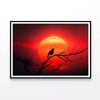 Bird, Sun & Sunset   Print 100% Australian Made 120x90cm  (Poster)