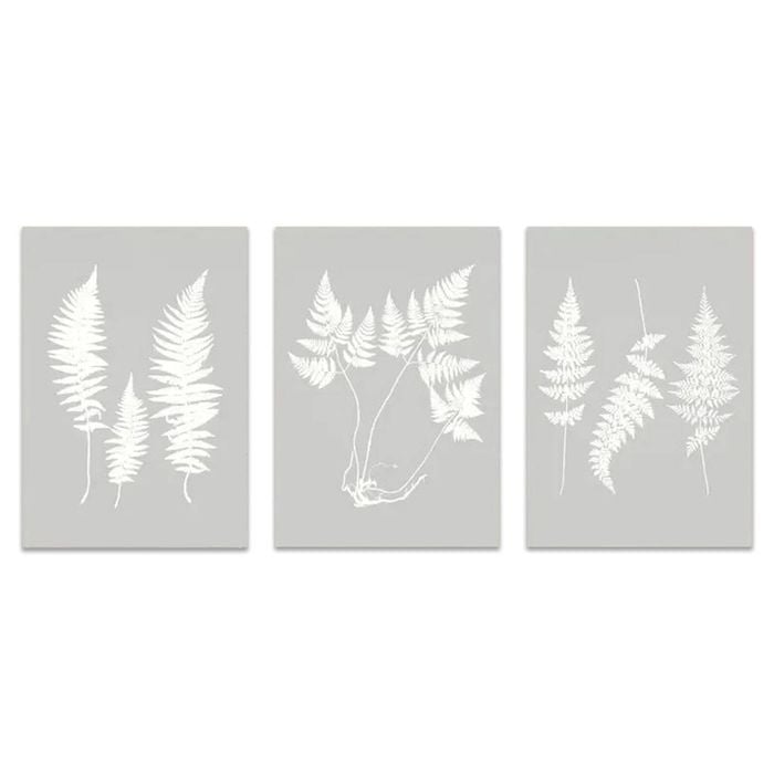 3pcs Minimalist Botanical Grass Print 100% Australian Made 3 x 40x60cm (Metal Print)