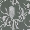 Porter's Paints 61.5cm x 10m Roll Bushland Banksia Wallpaper - 61.5cm x 10m