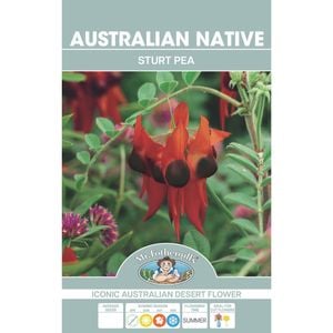 Mr Fothergill's Sturt Pea Flower Seeds