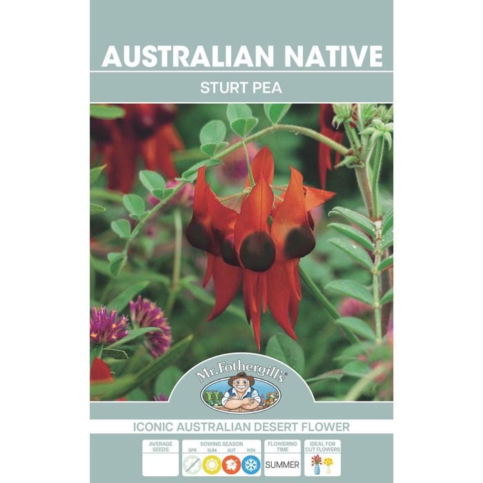 Mr Fothergill's Sturt Pea Flower Seeds