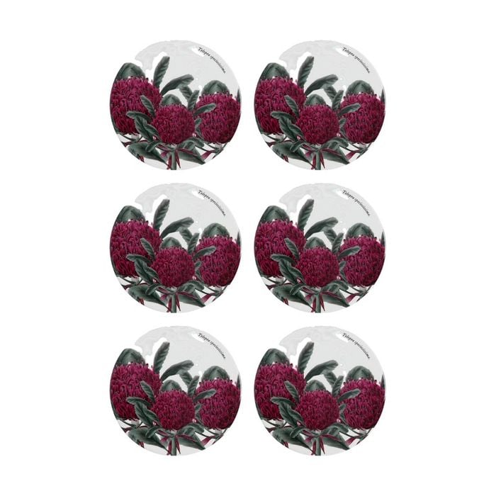6pk Maxwell & Williams Royal Botanic Garden Ceramic Round Coaster 9.5cm Telopea