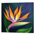 Bird Of Paradise | 75 x 75cm Stretched Canvas Print