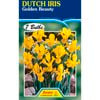 Fiesta Flower Bulbs Dutch Iris Golden Beauty - 7 Bulbs