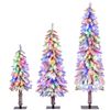 Costway 3PCS Christmas Tree Set w/Snow-flocked Branch Tips LED Lights