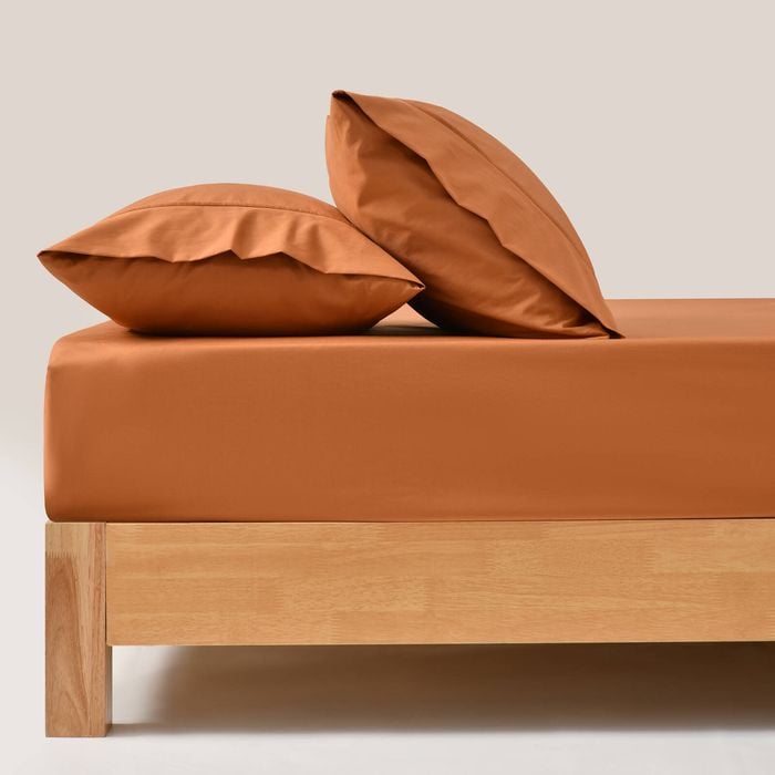 Dreamaker 250TC Cotton & Recycled Polyester Blend Fitted Sheet Set Rust Double Bed